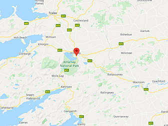 Man In His 20s Dies After Bein...